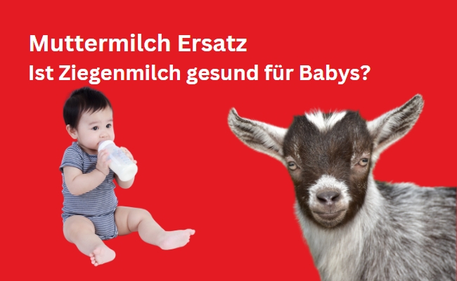 Muttermilch Ersatz: Ist Ziegenmilch gesund für Babys?